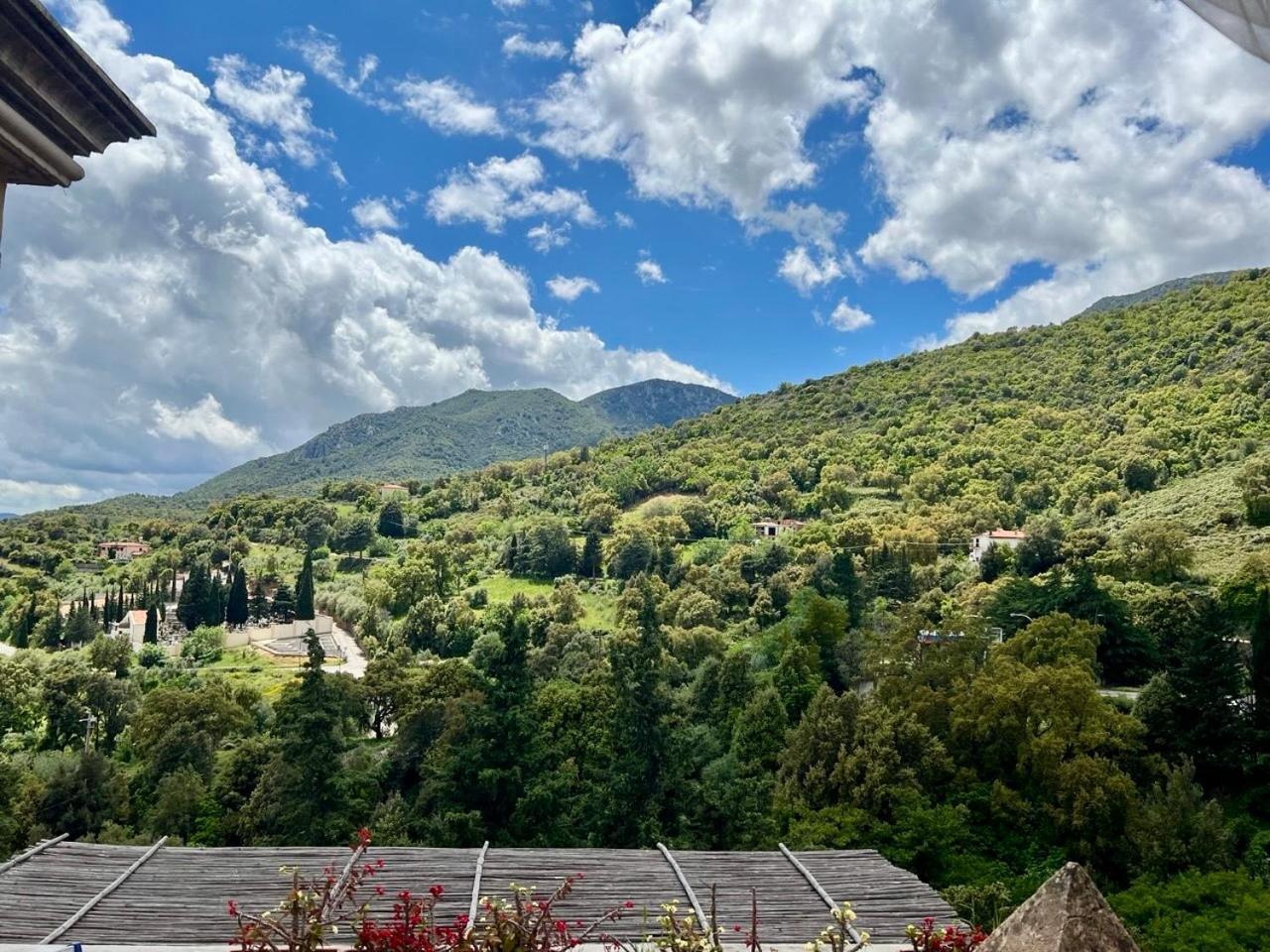 B&B Su Biancu - Sardinian Experience Urzulei Exteriör bild